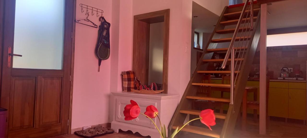 Ket Puli Vendeghaz Apartment Bekescsaba Luaran gambar