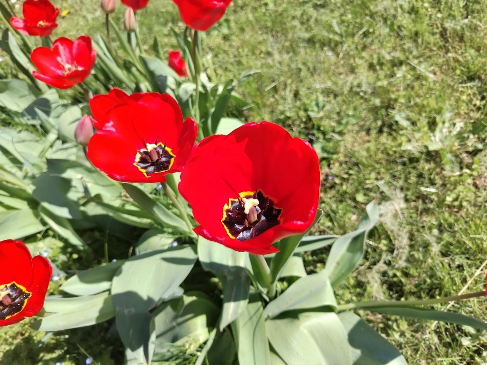 Ket Puli Vendeghaz Apartment Bekescsaba Luaran gambar